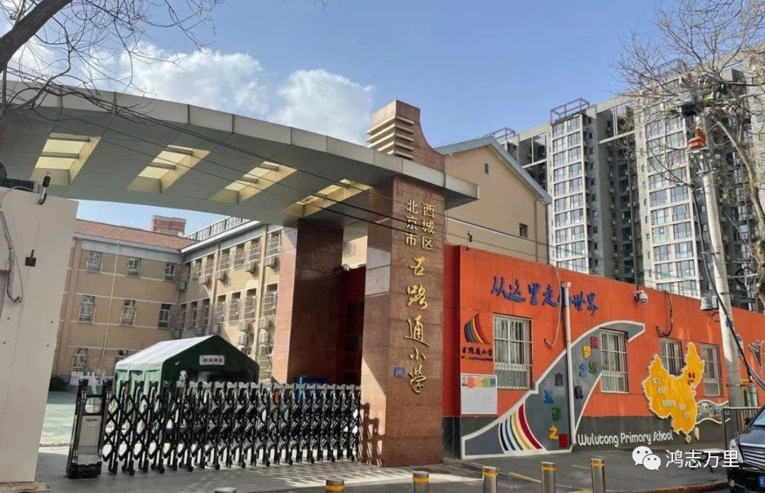 篮球训练简历怎么写_2